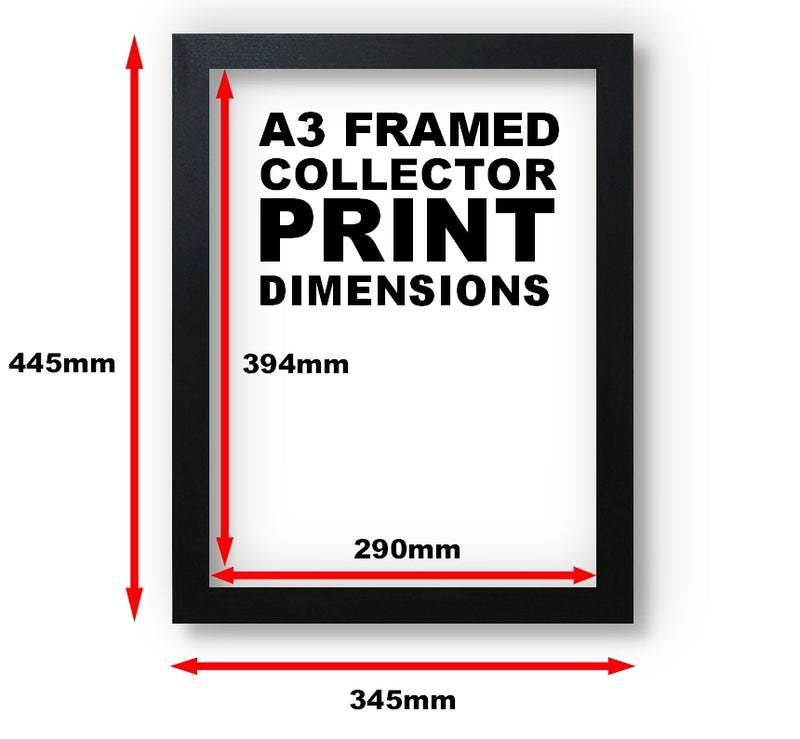 Freddie Mercury (Ay-Oh Sketch) A3 Framed Collectors Print 30x40cm