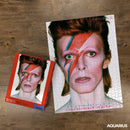 David Bowie Aladdin Sane Album 500 Piece Jigsaw Puzzle