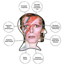 David Bowie Aladdin Sane Album 500 Piece Jigsaw Puzzle