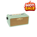 Vintage Retro 15W Guitar Amplifier with DSP. Mint Green