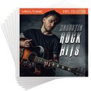 Vinyl Tonic VT13 PVC 12" Sleeve (10 Pack)